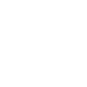 Empire Paintball and Airsoft logo