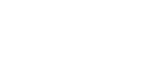 Empire Paintball and Airsoft logo