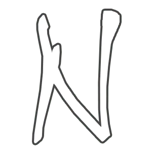 Ninja Paintball Logo white